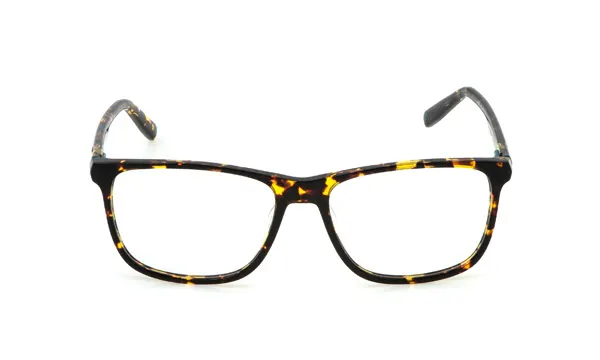 EVERYDAY VFI712 0779 0